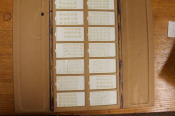 Media type: image;   Special Collections 4174